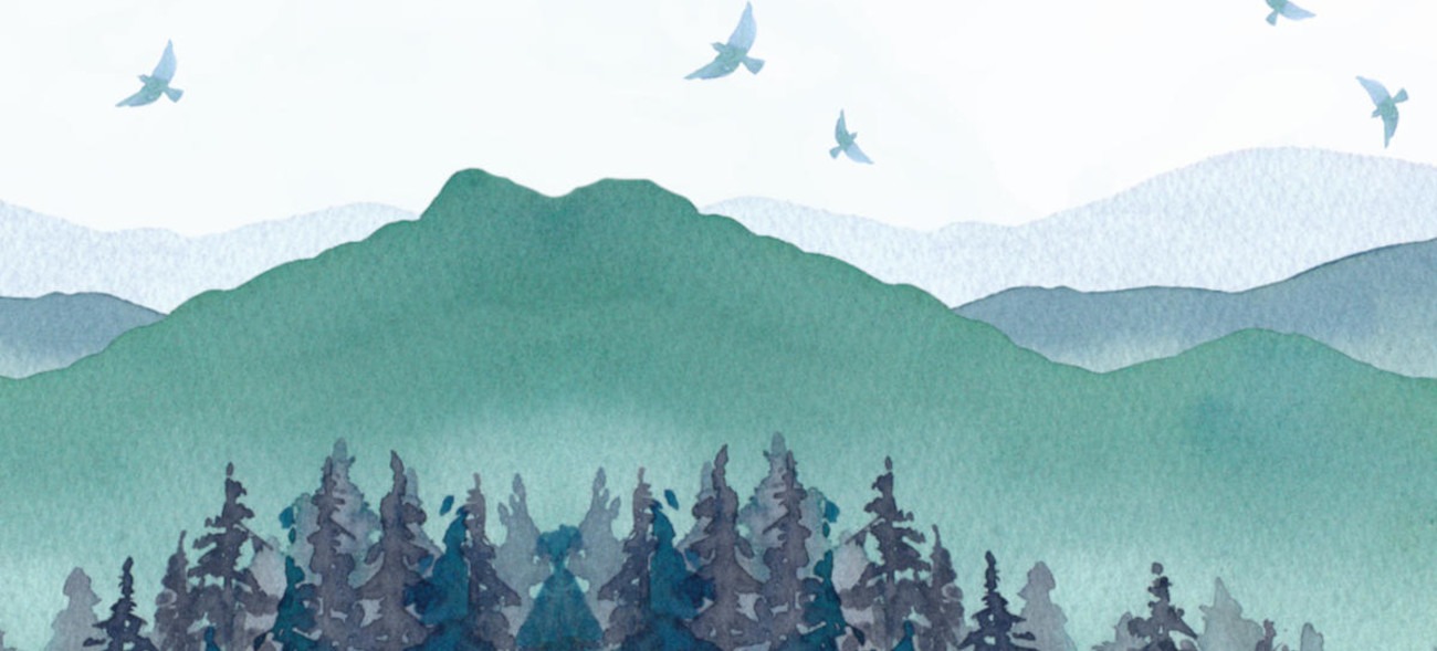 Wasserfarbenbild einer Landschaft mit Hügeln, Wäldern und am Himmel kreisenden Vögeln in türkis, blau und grün