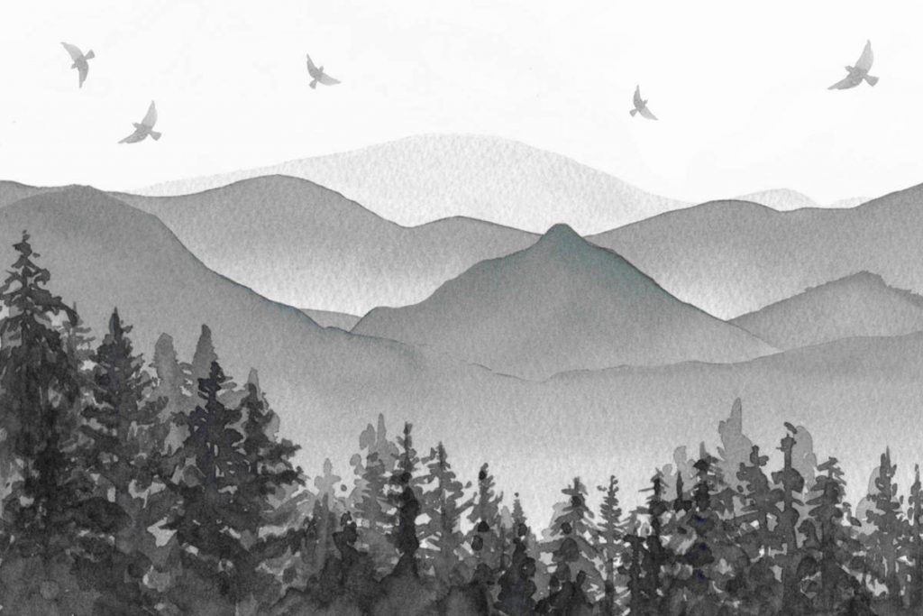 Wasserfarbenbild einer Landschaft mit Hügeln, Wäldern und am Himmel kreisenden Vögeln in schwarz-weiß